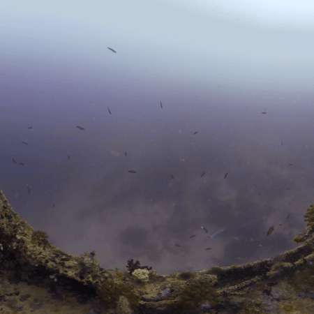 Shipwreck's Sunken Stories: Pilothouse View