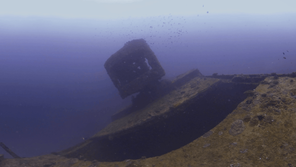 Wreck Deck Habitat