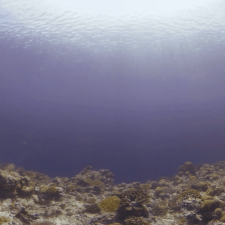 Sunlit Coral Gorge Panorama
