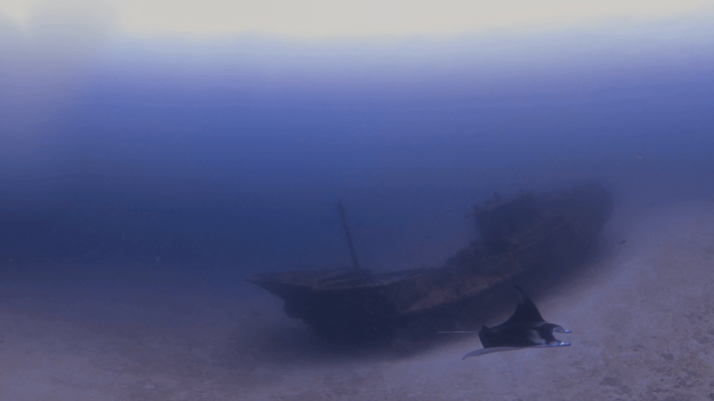 Manta's Wreck Haunt