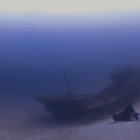 Manta's Wreck Haunt