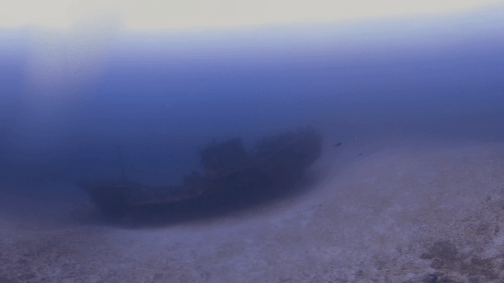 Manta's Shadow: Wreck Dive