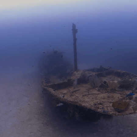 Shipwreck Haven: Fish & Coral Bloom