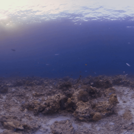 Moray's Reef Hideaway