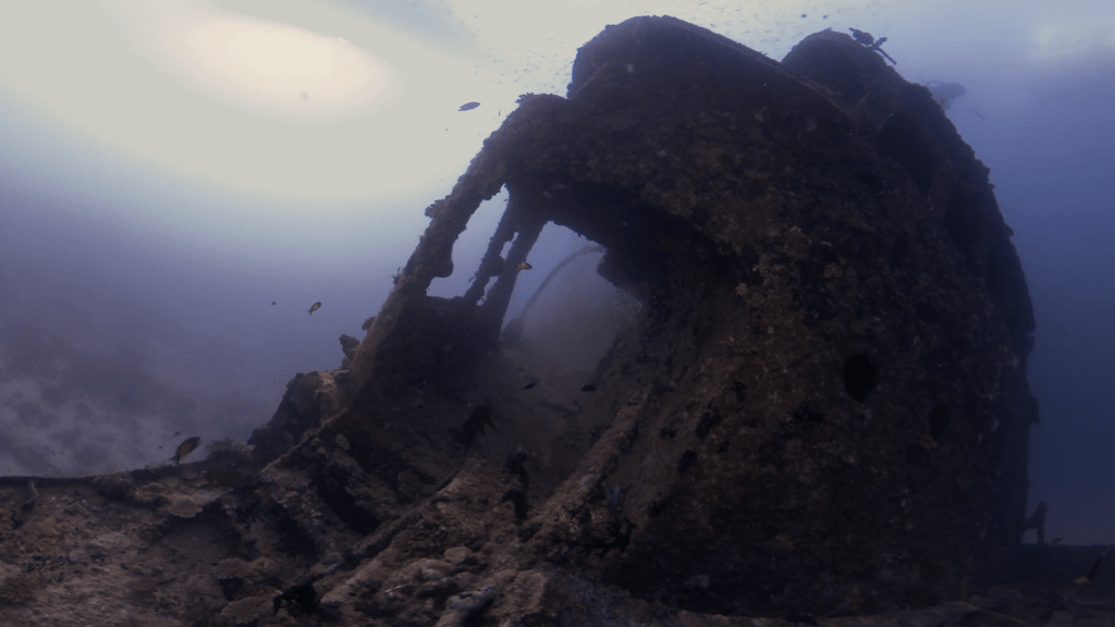 Shipwreck Passage: Fish Frenzy