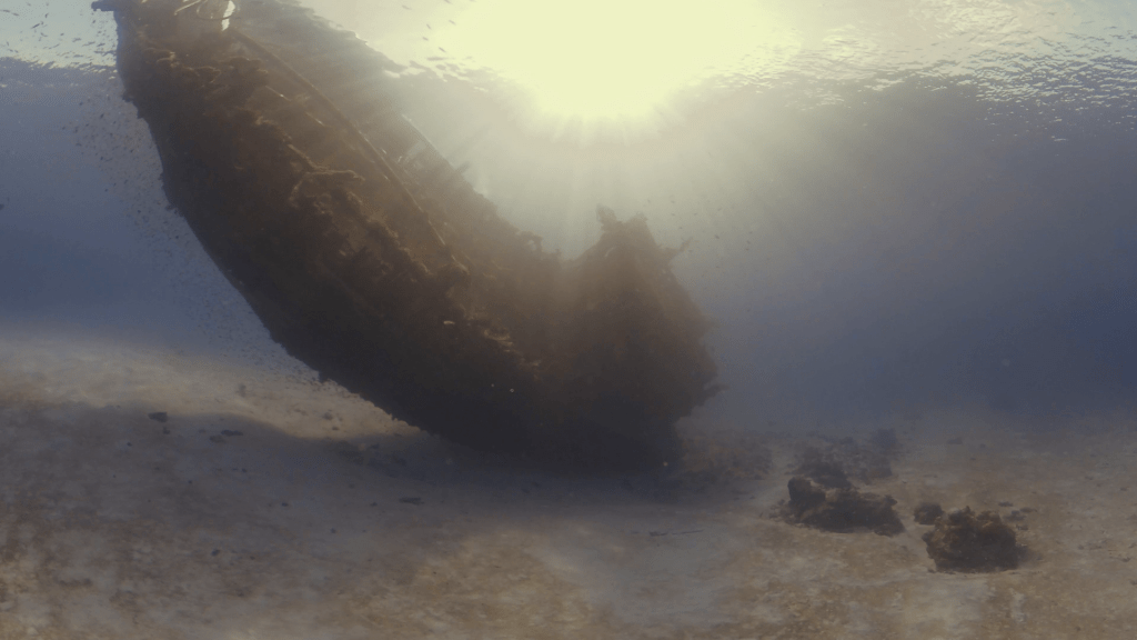 Sunken Wreck: Sunlit Depths