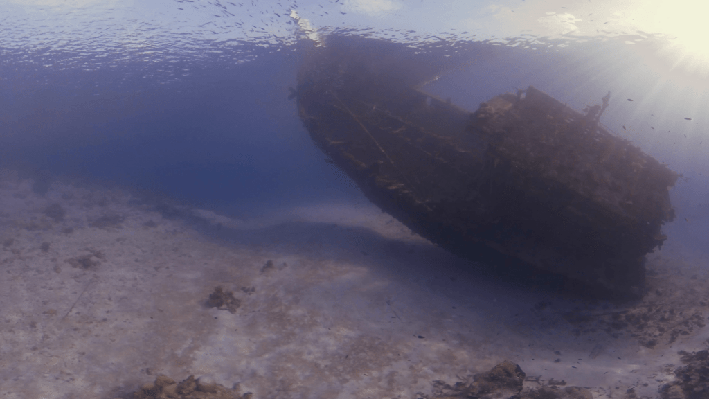 Sunken Ship: Caribbean Seabed