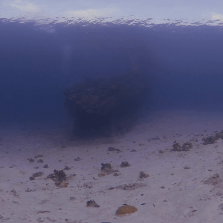 Sunlit Shipwreck Oasis