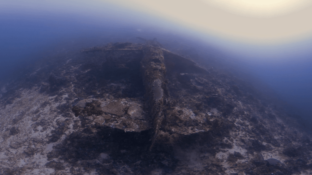 Submerged Wreckage: Encrusted Bow