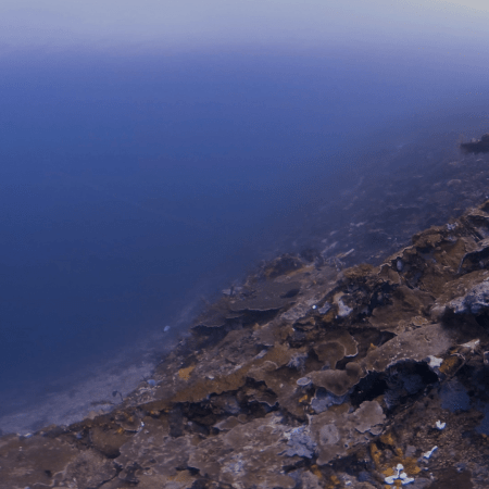 Deep Coral Wall Perspective