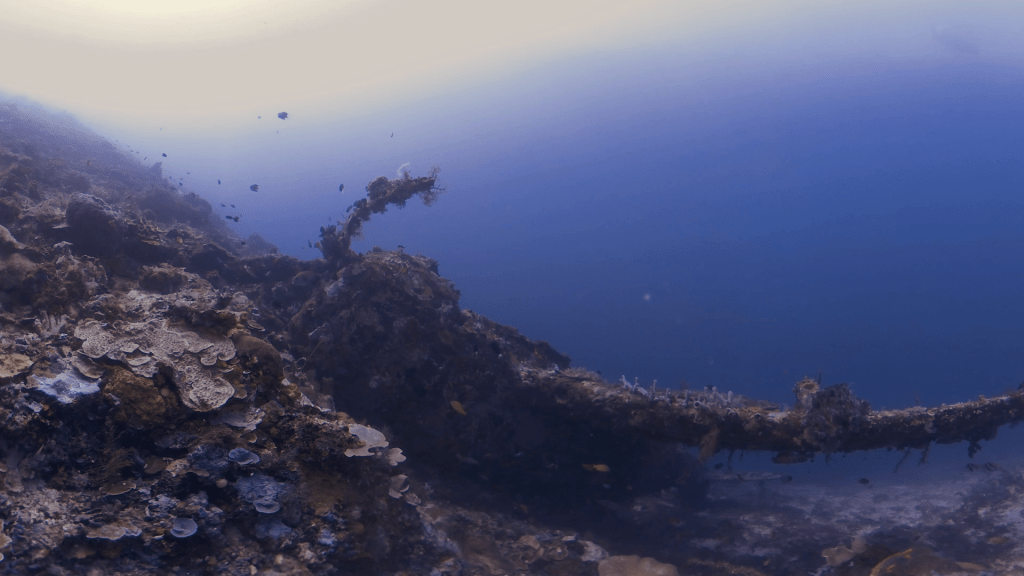 Sunken Vessel Reef Transformation