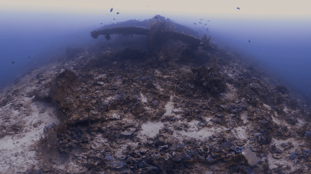 Submerged Relic Thrives