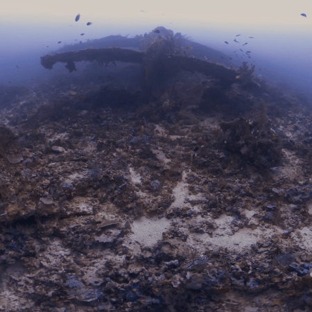 Submerged Relic Thrives