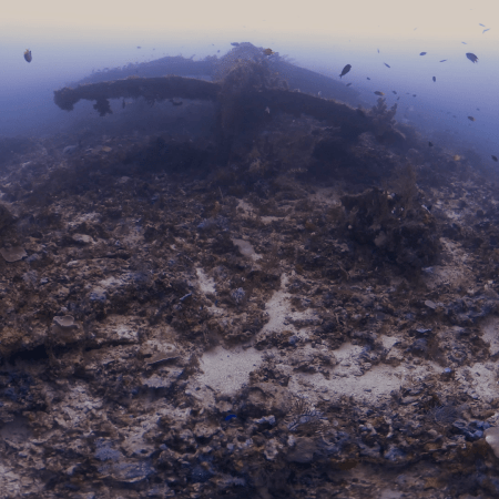 Sunken Relic: Thriving Reef Habitat