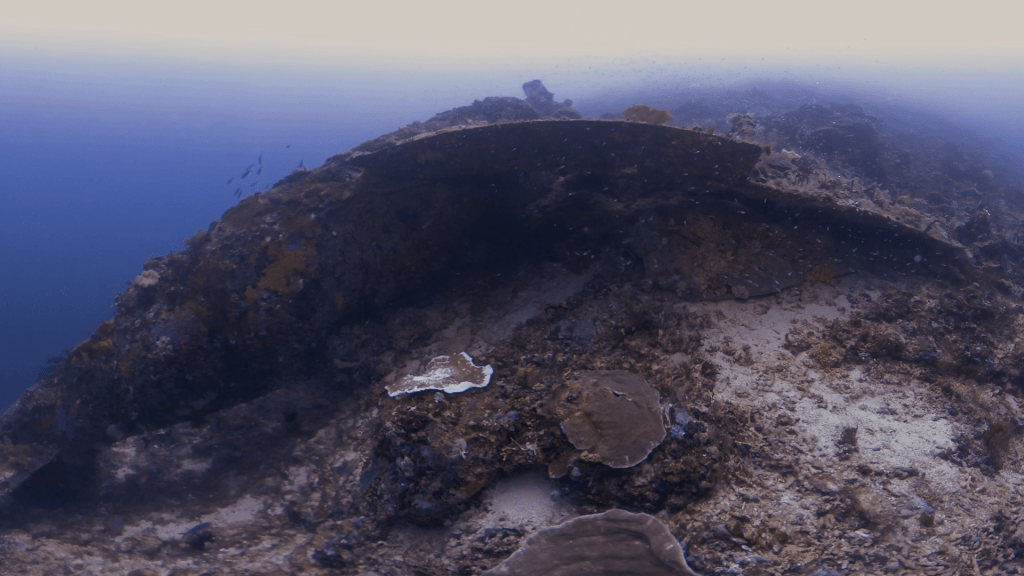 Wreck Shelter: Silver Schools