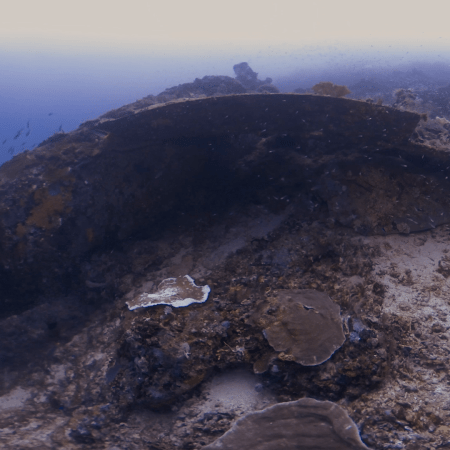 Wreck Shelter: Silver Schools