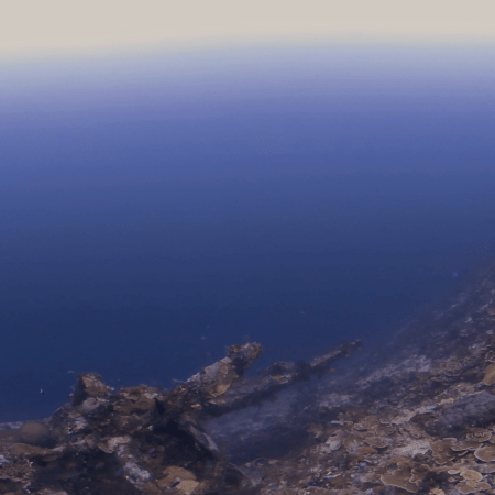 Deep Blue Coral Wall Descent