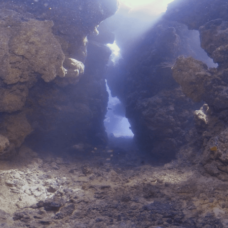 Sunlit Reef Crevices