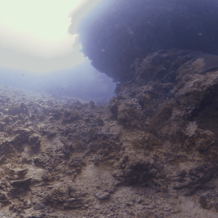 Reef Canyons: Sunlit Grottos