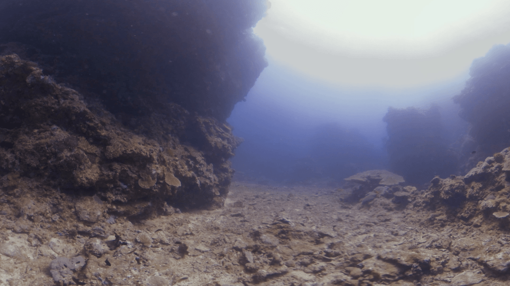 Subterranean Reefscape