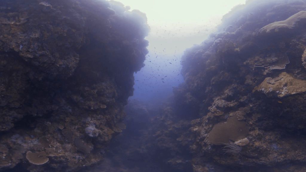 Coral Canyon's Embrace