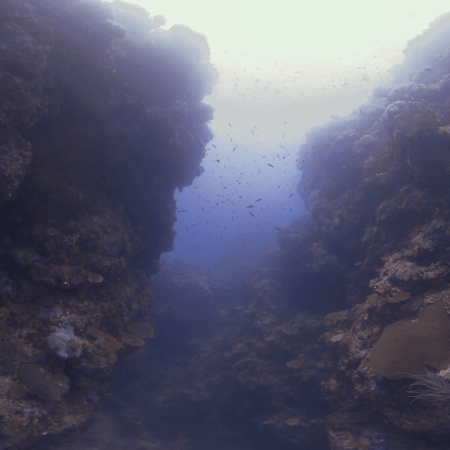 Coral Canyon's Embrace