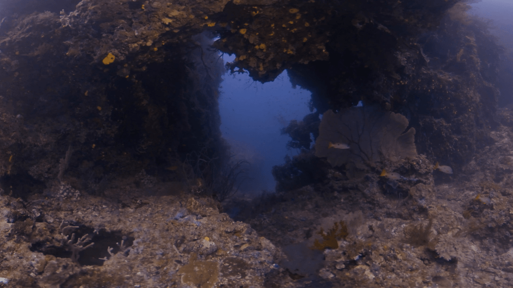Coral Archway Passage