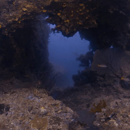 Coral Archway Passage