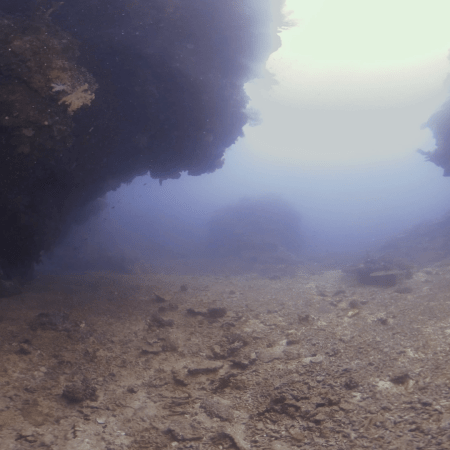 Reef Canyons: Sunlit Crevice Haven