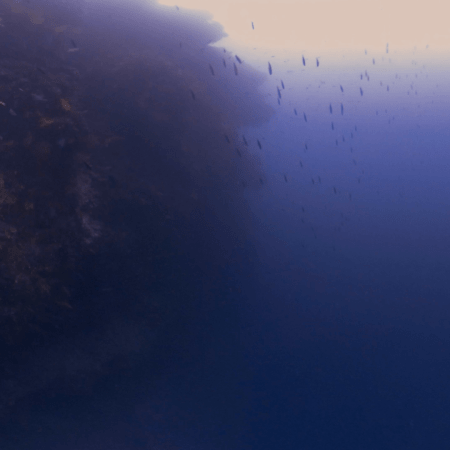 Pinnacle's Shadow: Sunlit Ascent