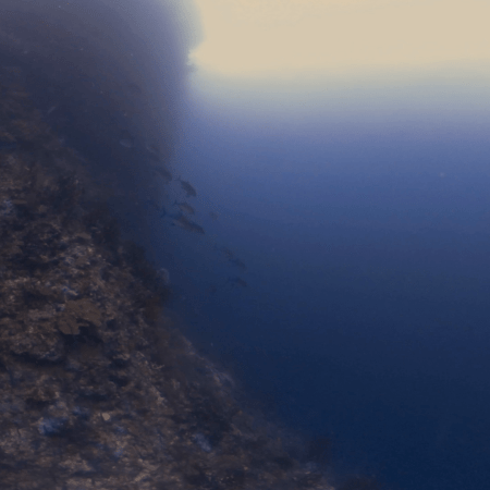 Wall of Life: Reef Ecosystem Journey