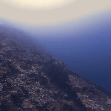 Coral Ridge Lightfall