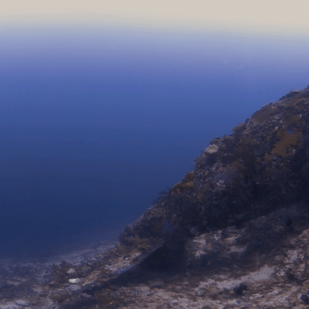 Reef Edge to Deep Blue Expanse