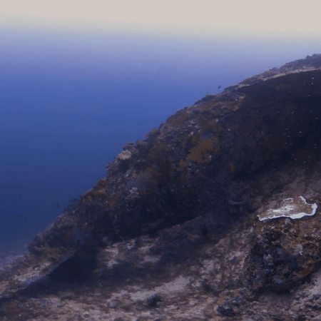 Reef Edge Schooling Oasis