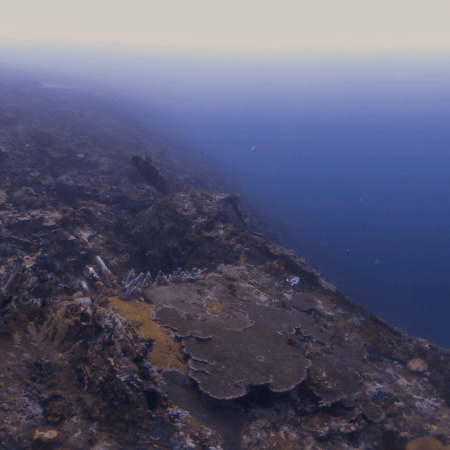 Reef Crest: Abyss Boundary