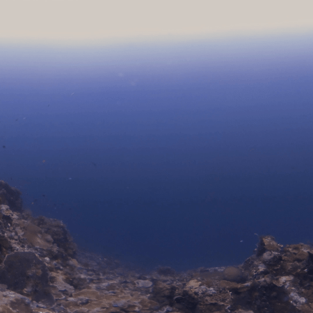 Sunlit Reef Drop-Off Into Deep Blue