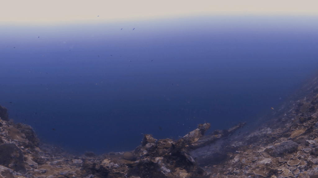 Deep Reef Channel Ascent