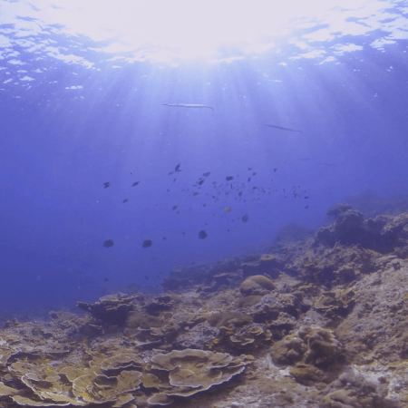 vid 20160211 232845 20240203115658 1.png