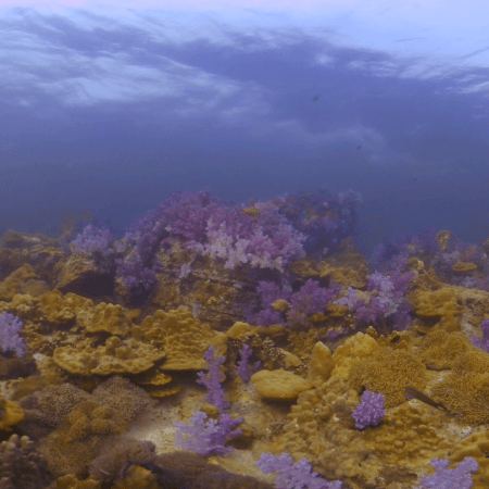 vid 20210322 091334 20220106171382 1.png