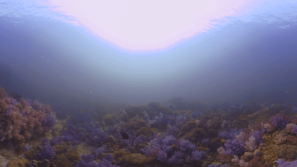 vid 20210405 165453 20220106171655 1.png