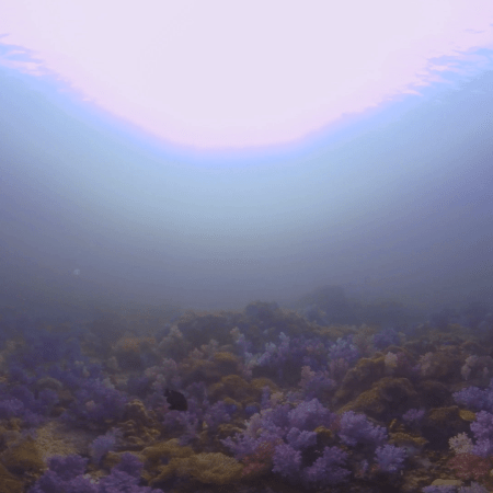 vid 20210405 165453 20220106171655 1.png