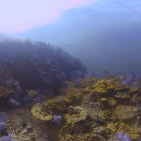 vid 20210407 152841 20220106176800 1.png