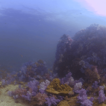 vid 20210407 152841 20220106179583 1.png