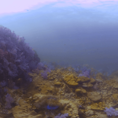 vid 20210407 153539 20220106172645 1.png