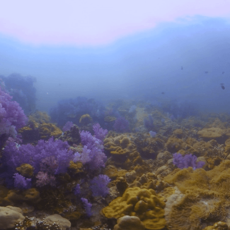 vid 20210407 153539 20220106173387 1.png