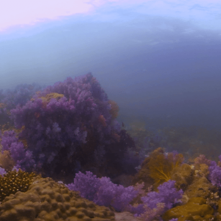 vid 20210407 153539 20220106176980 1.png