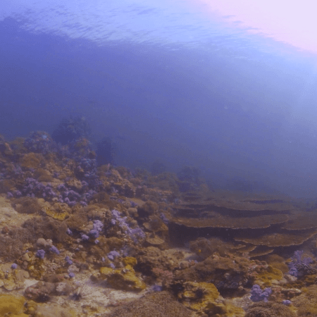 vid 20210409 151207 20220106172317 1.png