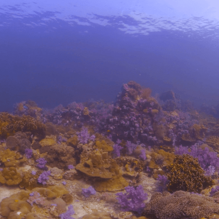 vid 20210409 151719 20220106172173 1.png