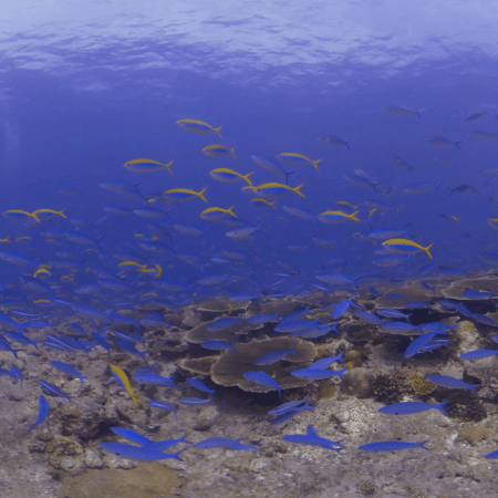 vid 20221104 114800 20230518135439 1.png