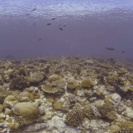 vid 20221115 102050 20231027133303 1.png